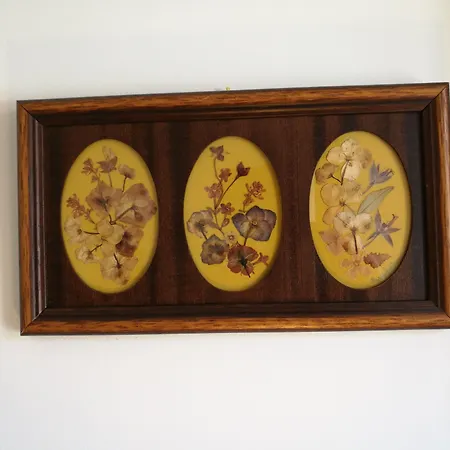 Discovery Estrela דירה