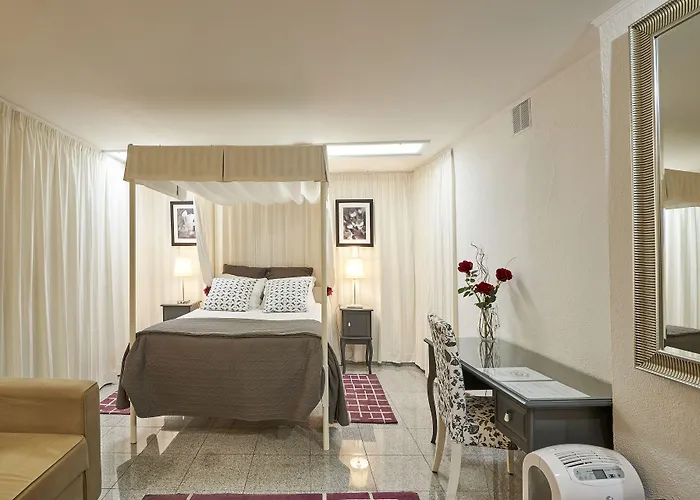 Appartement Discovery Estrela