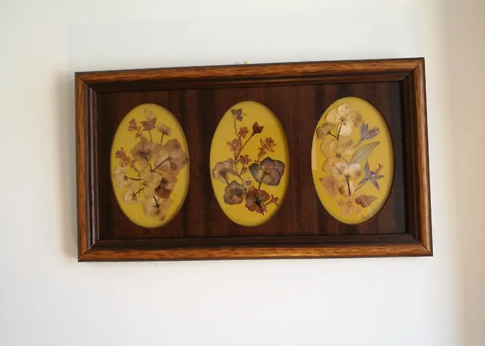 Discovery Estrela Appartement