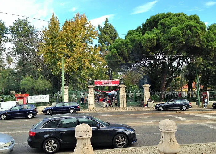 Discovery Estrela Appartement *