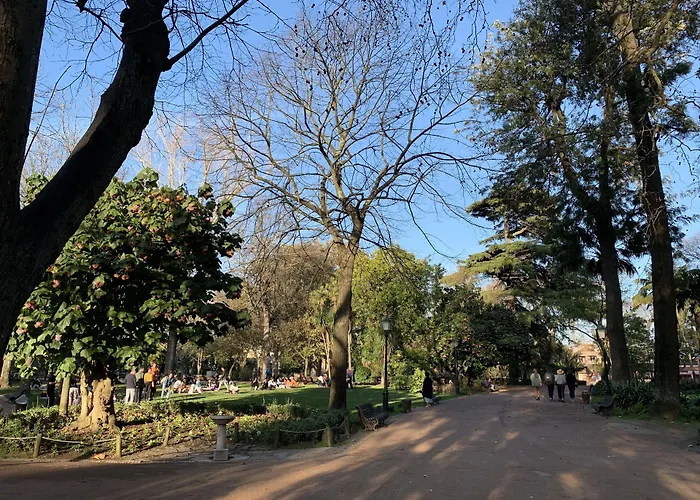 Discovery Estrela Appartement *